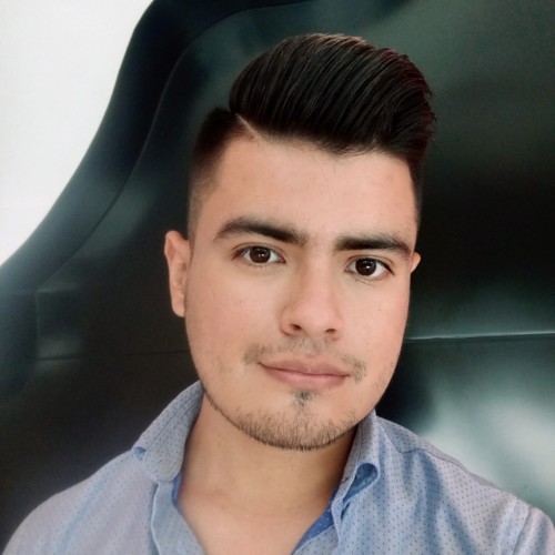Ricardo Aaron  P.