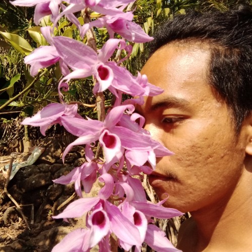 Don B. profile photo