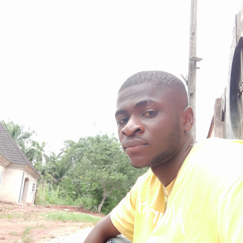 Amarachi  B. profile photo