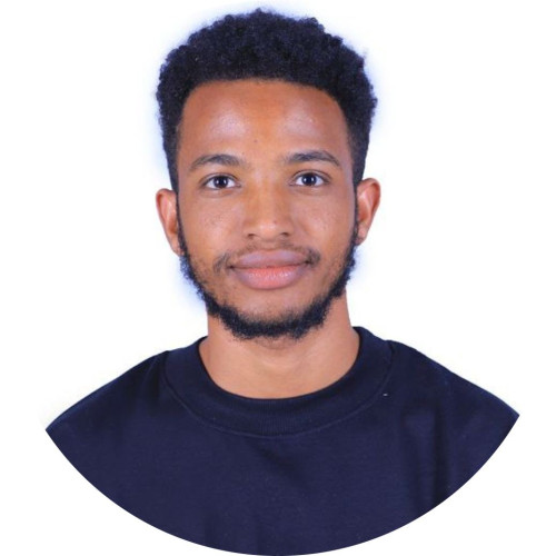 Firaol  N. profile photo