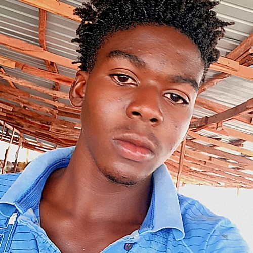 Chisom U.