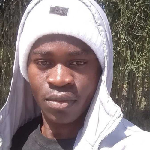 David M. profile photo