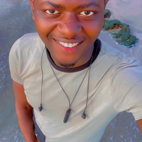 Bubacarr T. profile photo