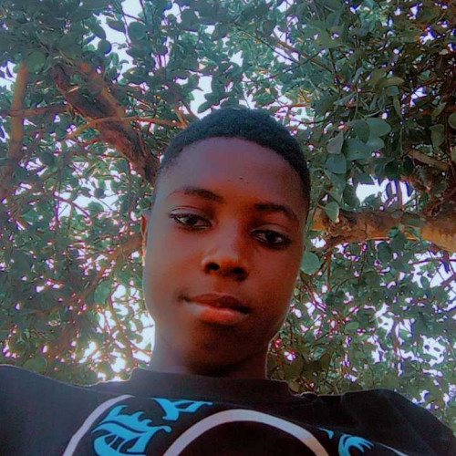 Dave J. profile photo