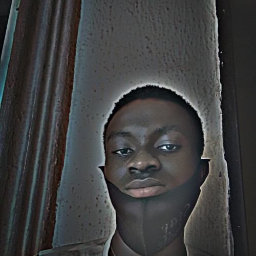 Chidera N. profile photo