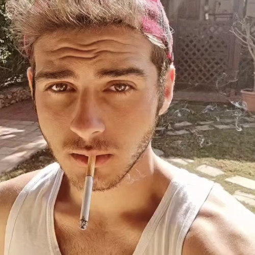 Carlos B. profile photo