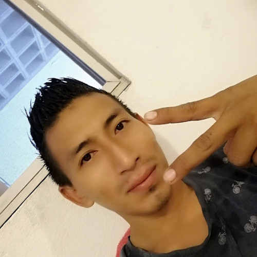 Steven M. profile photo