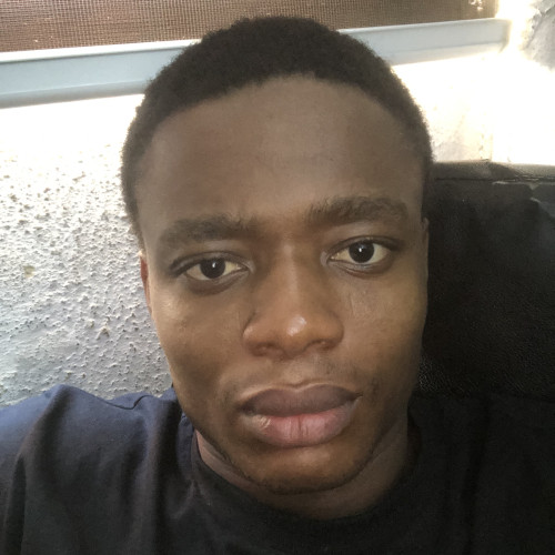 Oluwadamilare  E. profile photo