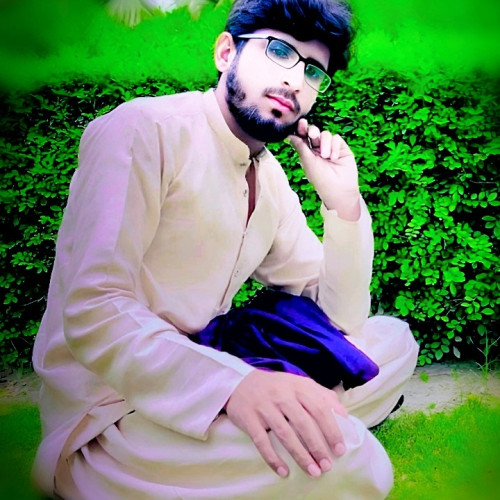 Rajib  S. profile photo