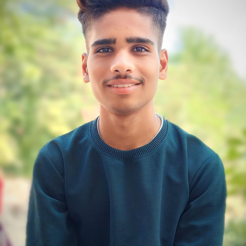 Vivek P. profile photo