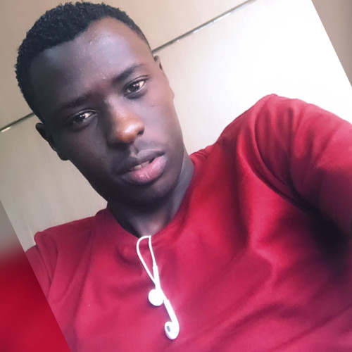 Adrian N. profile photo