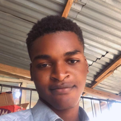 Noah A. profile photo