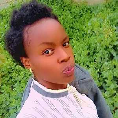 Nancy S. profile photo