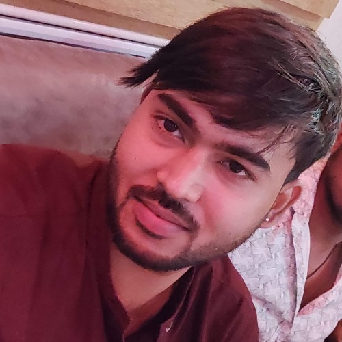 SATYAM T.