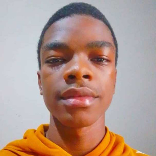 Olalekan J. profile photo