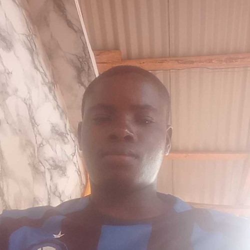 Paul L. profile photo