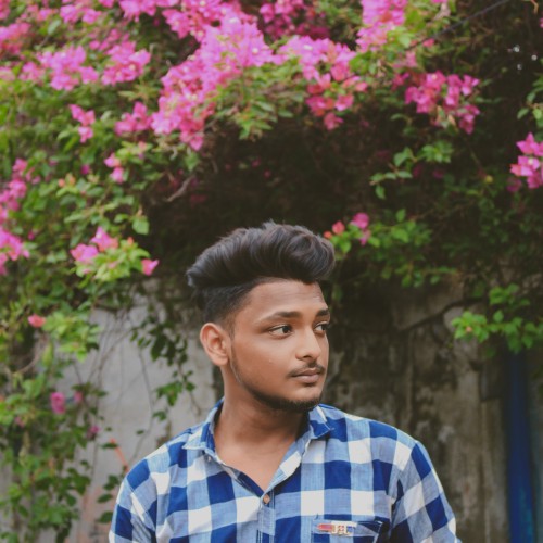 Bijit a.