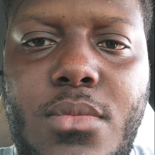Hollyhood H.