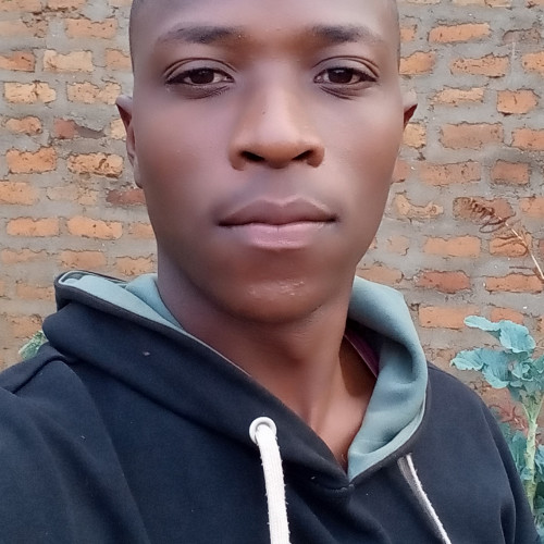 Alex M. profile photo