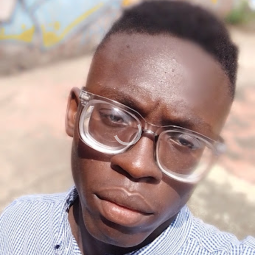 Temi T. profile photo