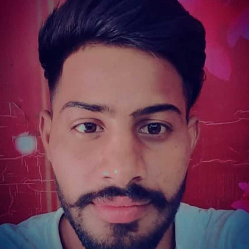 Raj D.