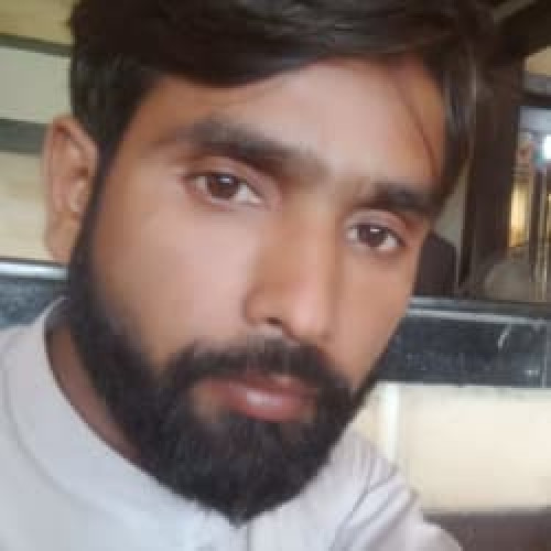 Muhammad Tauqeer Hussain t. profile photo