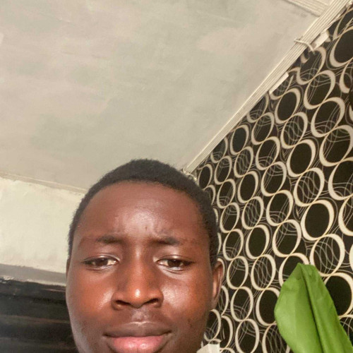 Olatunde A. profile photo