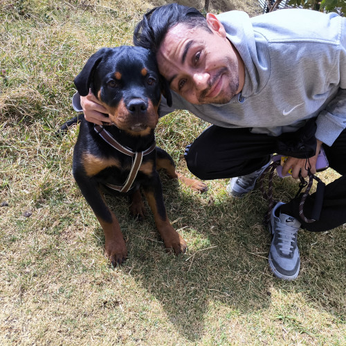 Rafael D. profile photo