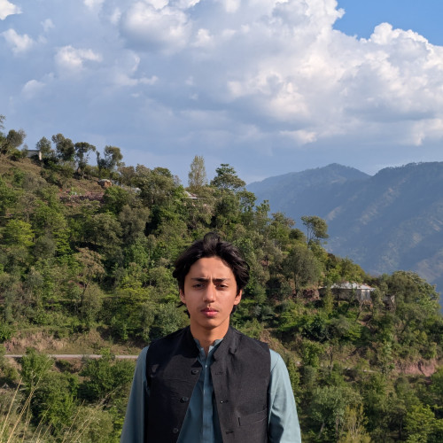 Feroz K. profile photo