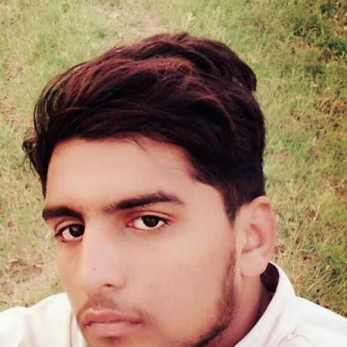 Hamza R. profile photo