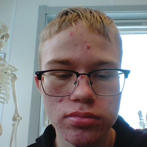 Jannick d. profile photo