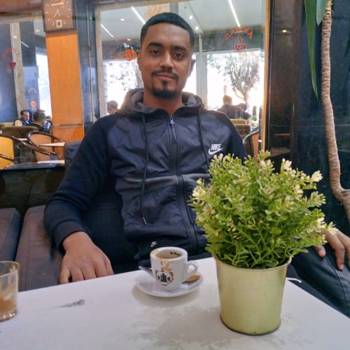 hamza n. profile photo