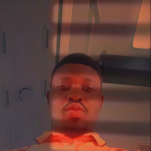 AMO AMOS  D. profile photo