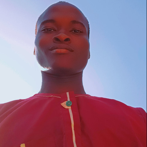 Ibrahim  T. profile photo