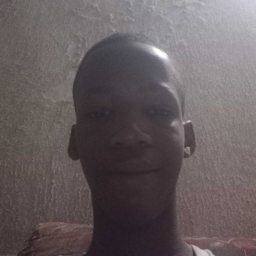 Daniel N. profile photo