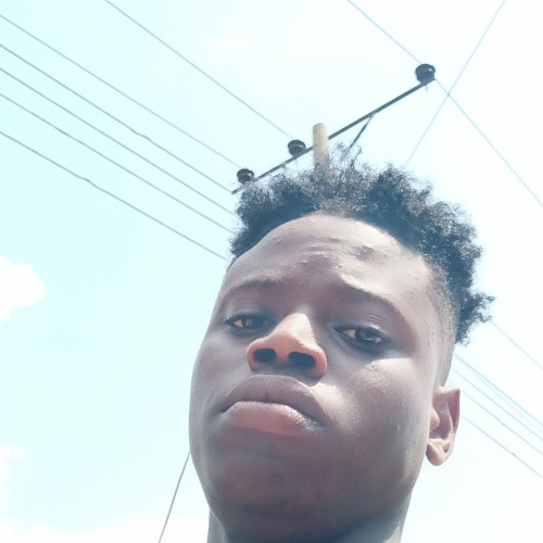 Maurice  M. profile photo