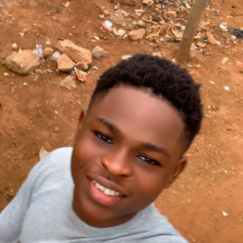 Temidayo  F. profile photo