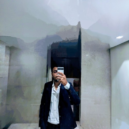 manav v. profile photo