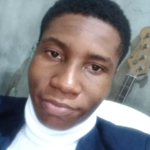 Chukwuebuka  N. profile photo