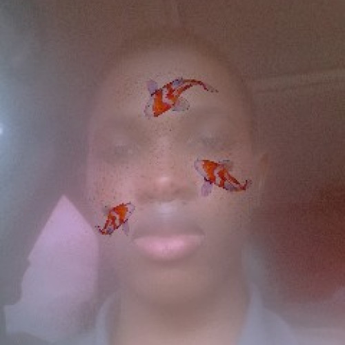 nicky d. profile photo
