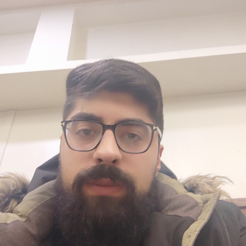 Ali N. profile photo