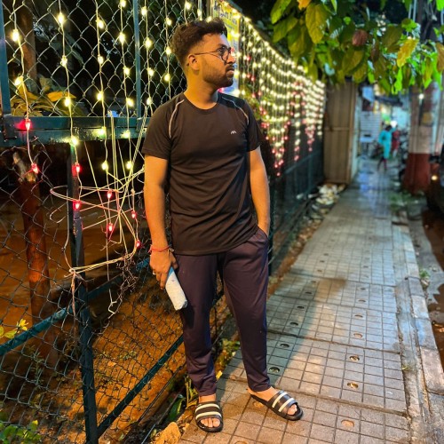 Pritesh K.