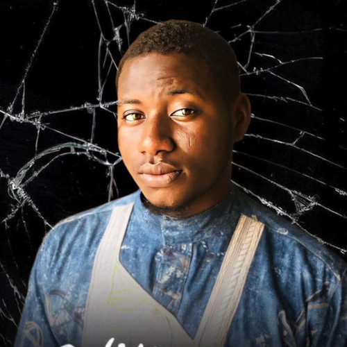 Adeyemi A. profile photo