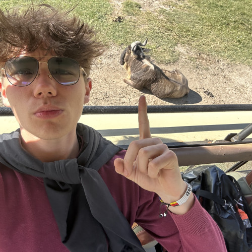 Anton S. profile photo
