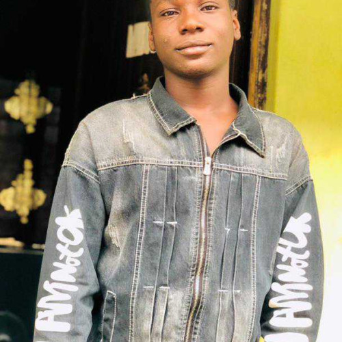 David o. profile photo