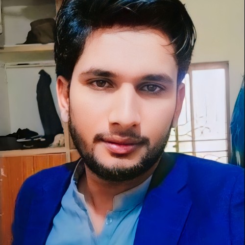 Shahzaib S.