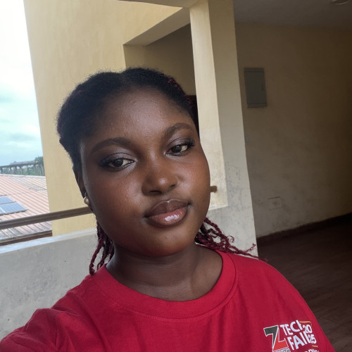 Boluwatife vivian A. profile photo