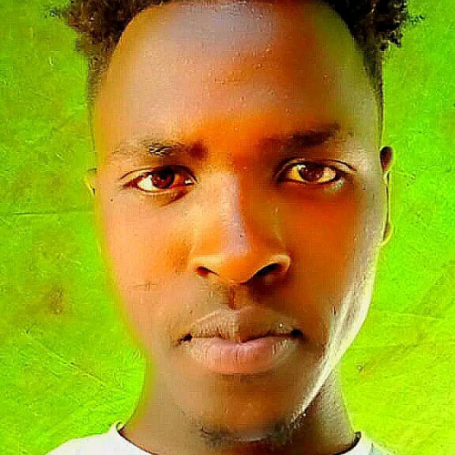 Maxwell N. profile photo