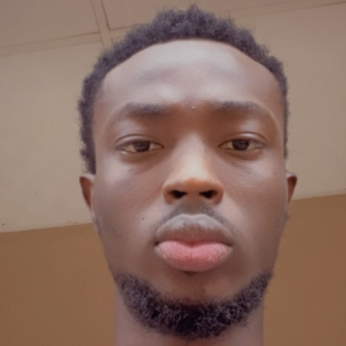 Adedayo O. profile photo