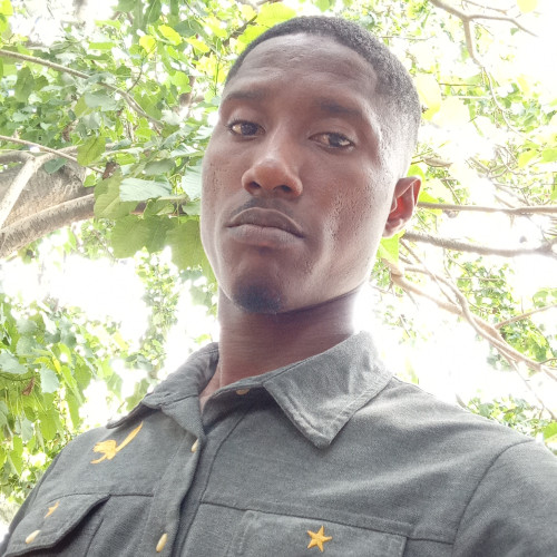 Kingsley  J. profile photo